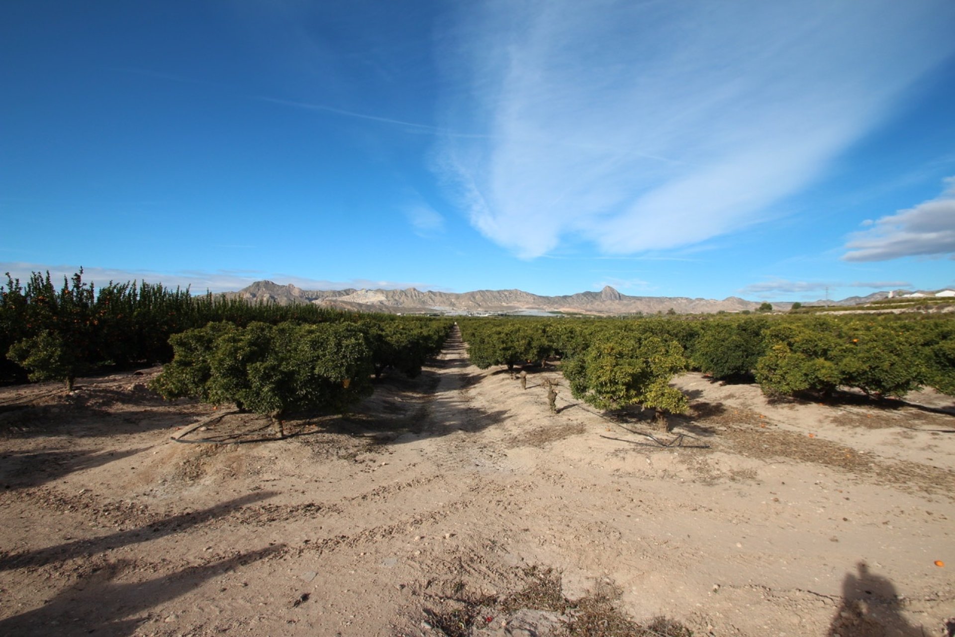 Herverkoop - Country House -
Murcia - Costa Blanca