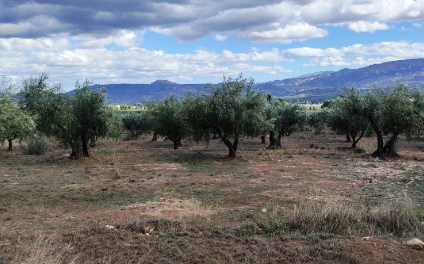 Herverkoop - Country House -
Muro de Alcoy