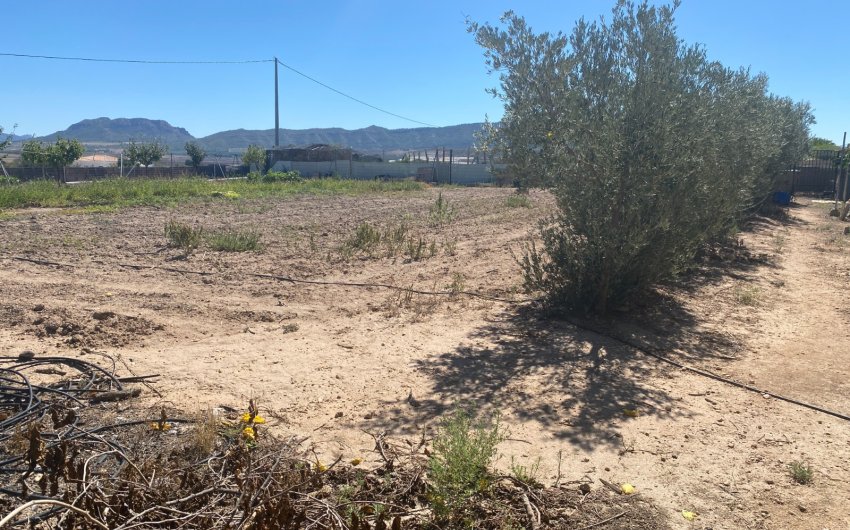 Herverkoop - Country House -
Salinas