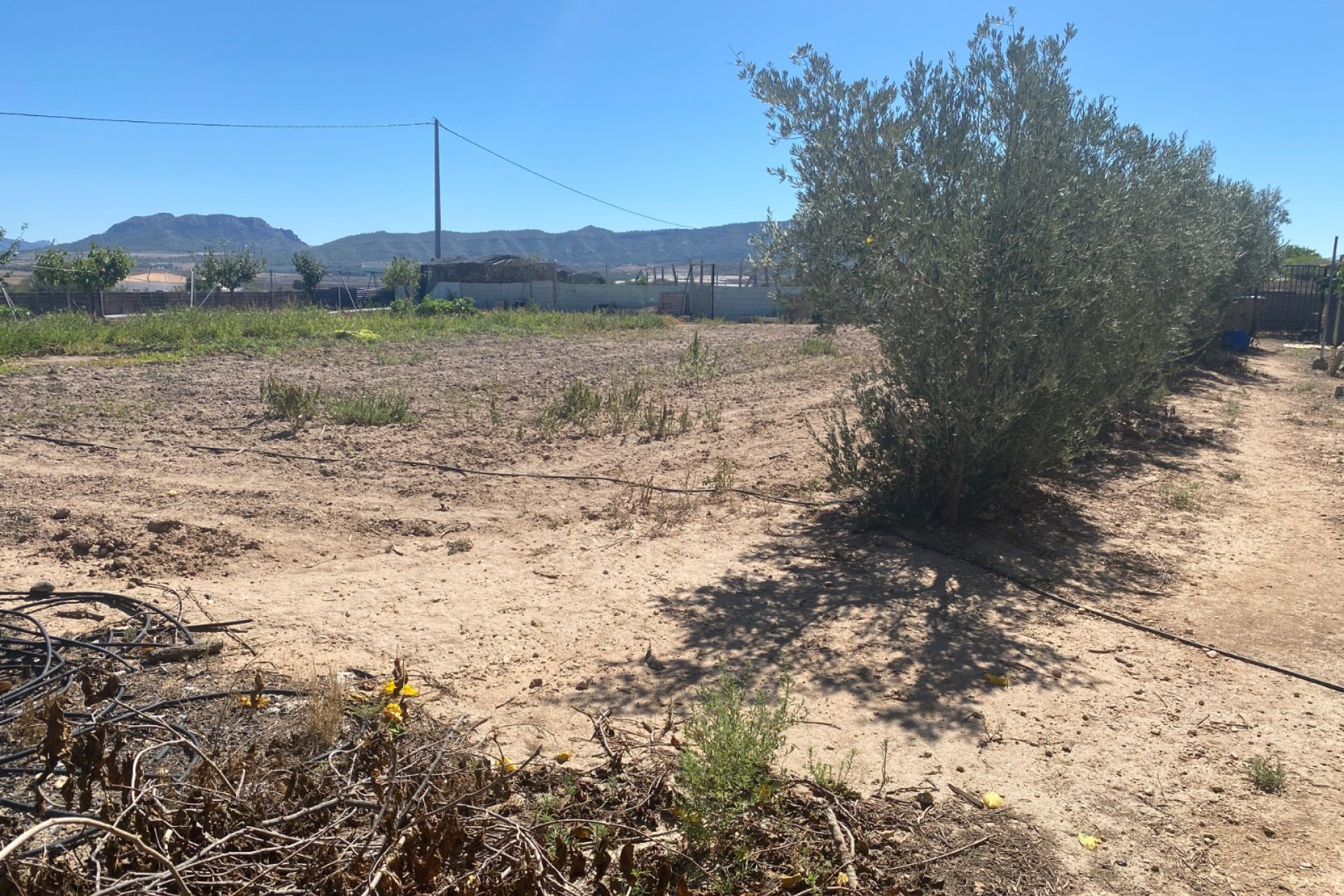 Herverkoop - Country House -
Salinas