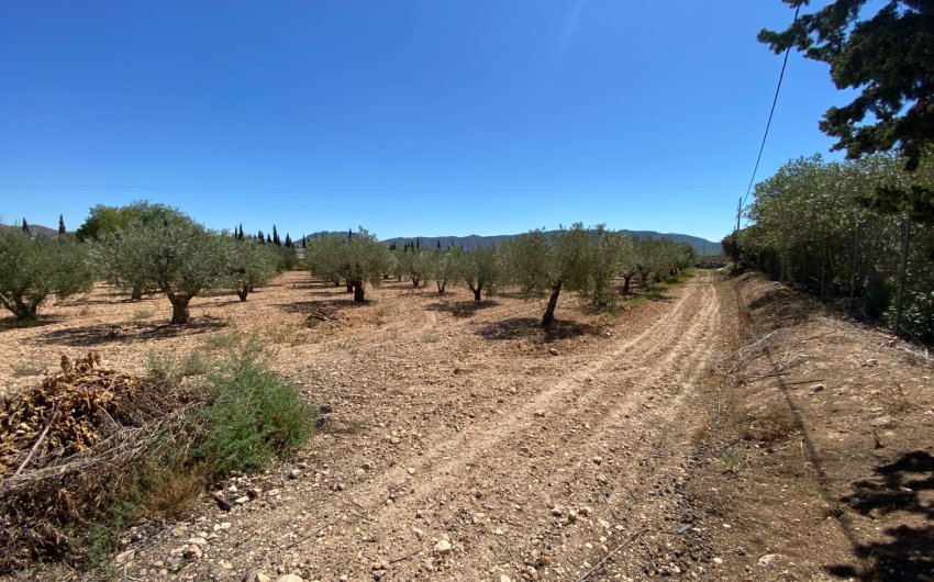 Herverkoop - Country House -
Salinas