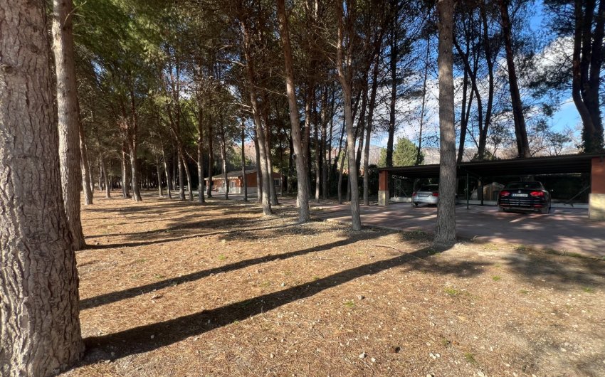 Herverkoop - Country House -
Salinas