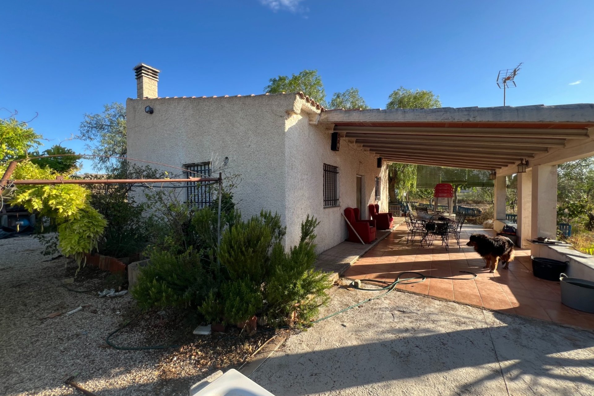 Herverkoop - Country House -
Sax