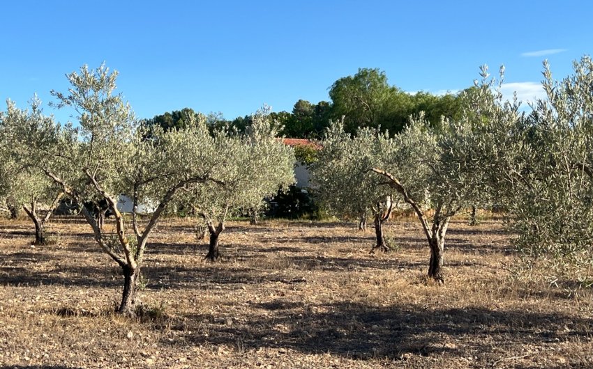 Herverkoop - Country House -
Sax