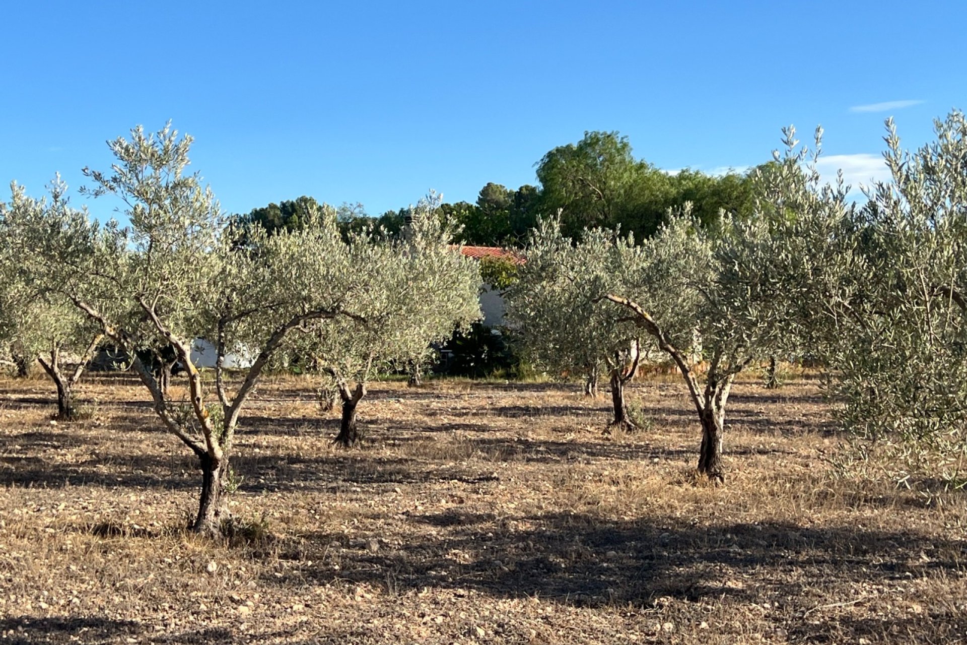 Herverkoop - Country House -
Sax