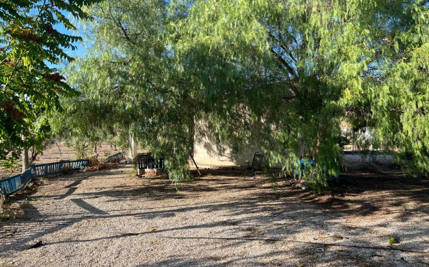 Herverkoop - Country House -
Sax