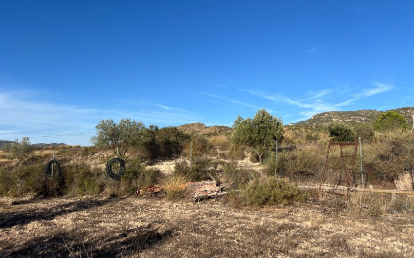 Herverkoop - Country House -
Sax