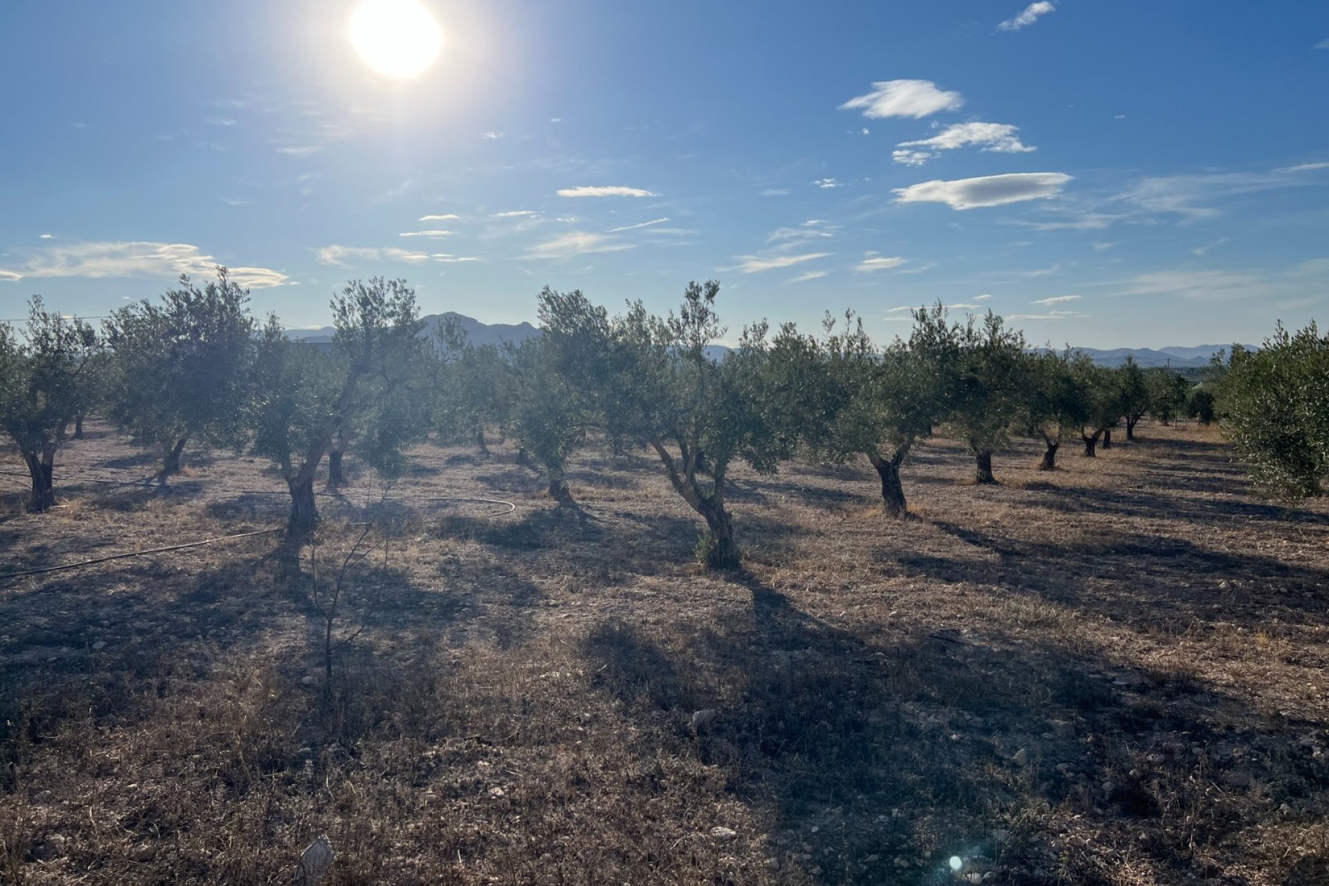 Herverkoop - Country House -
Sax