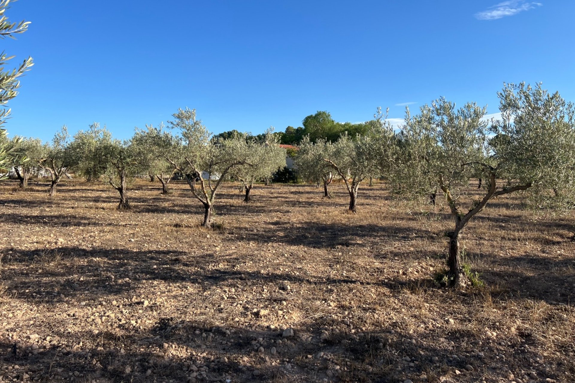 Herverkoop - Country House -
Sax