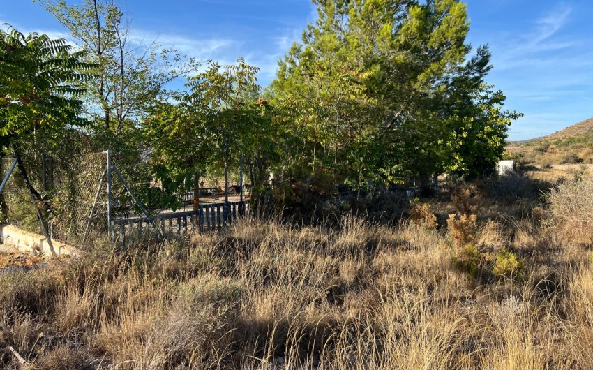 Herverkoop - Country House -
Sax