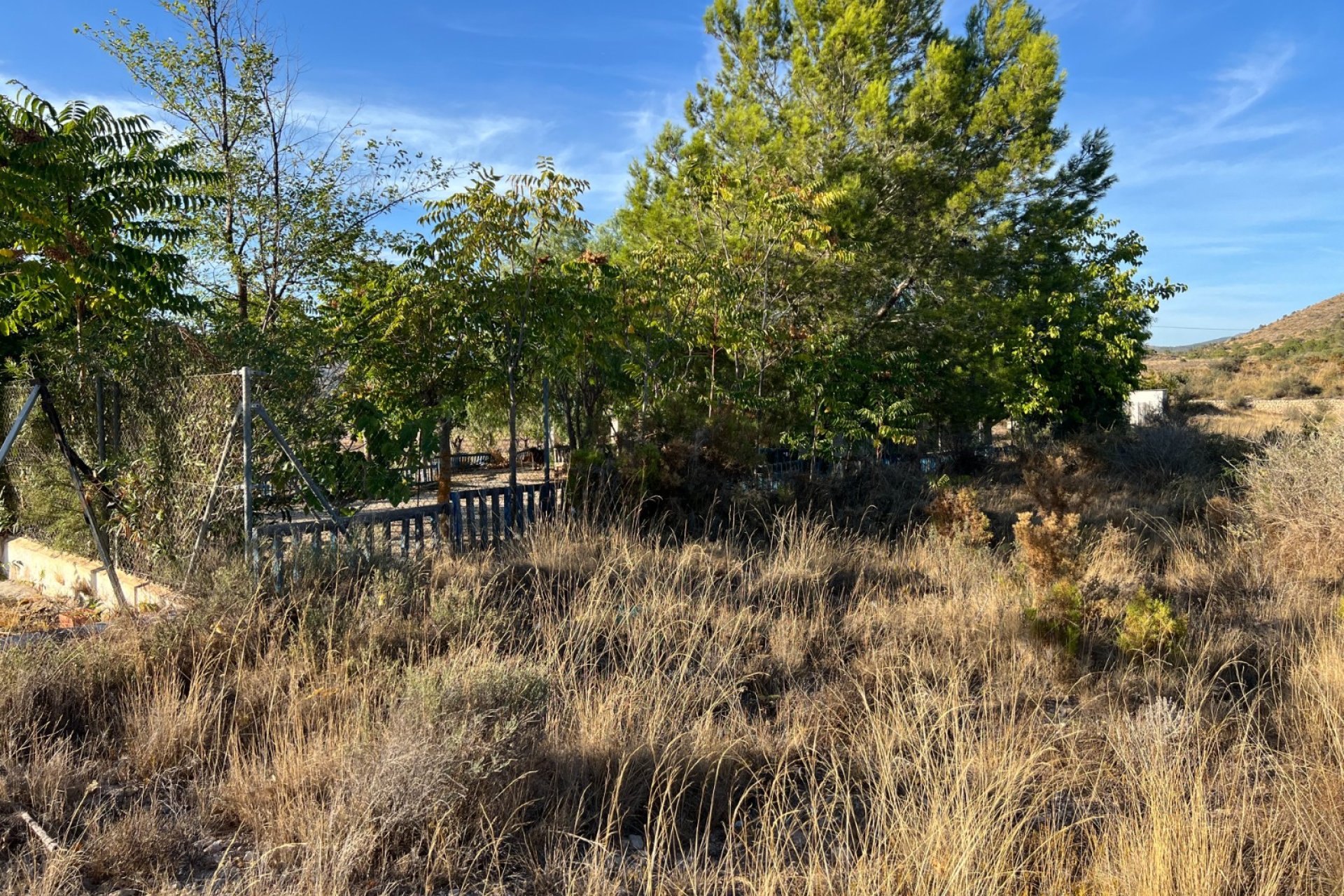 Herverkoop - Country House -
Sax