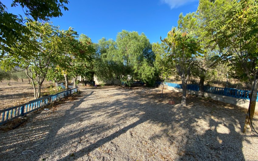 Herverkoop - Country House -
Sax