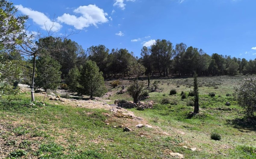 Herverkoop - Country House -
Villena - Inland