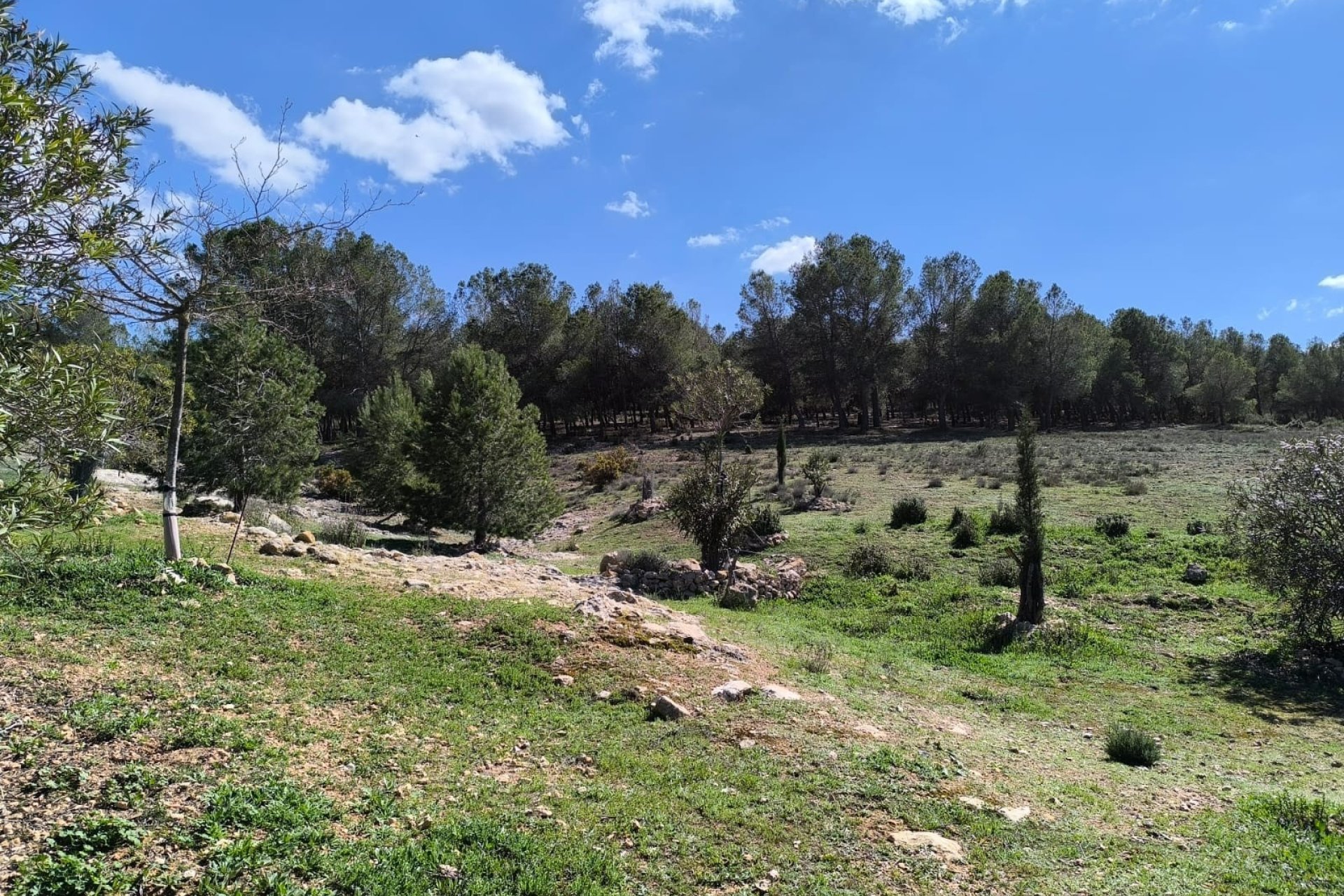 Herverkoop - Country House -
Villena - Inland