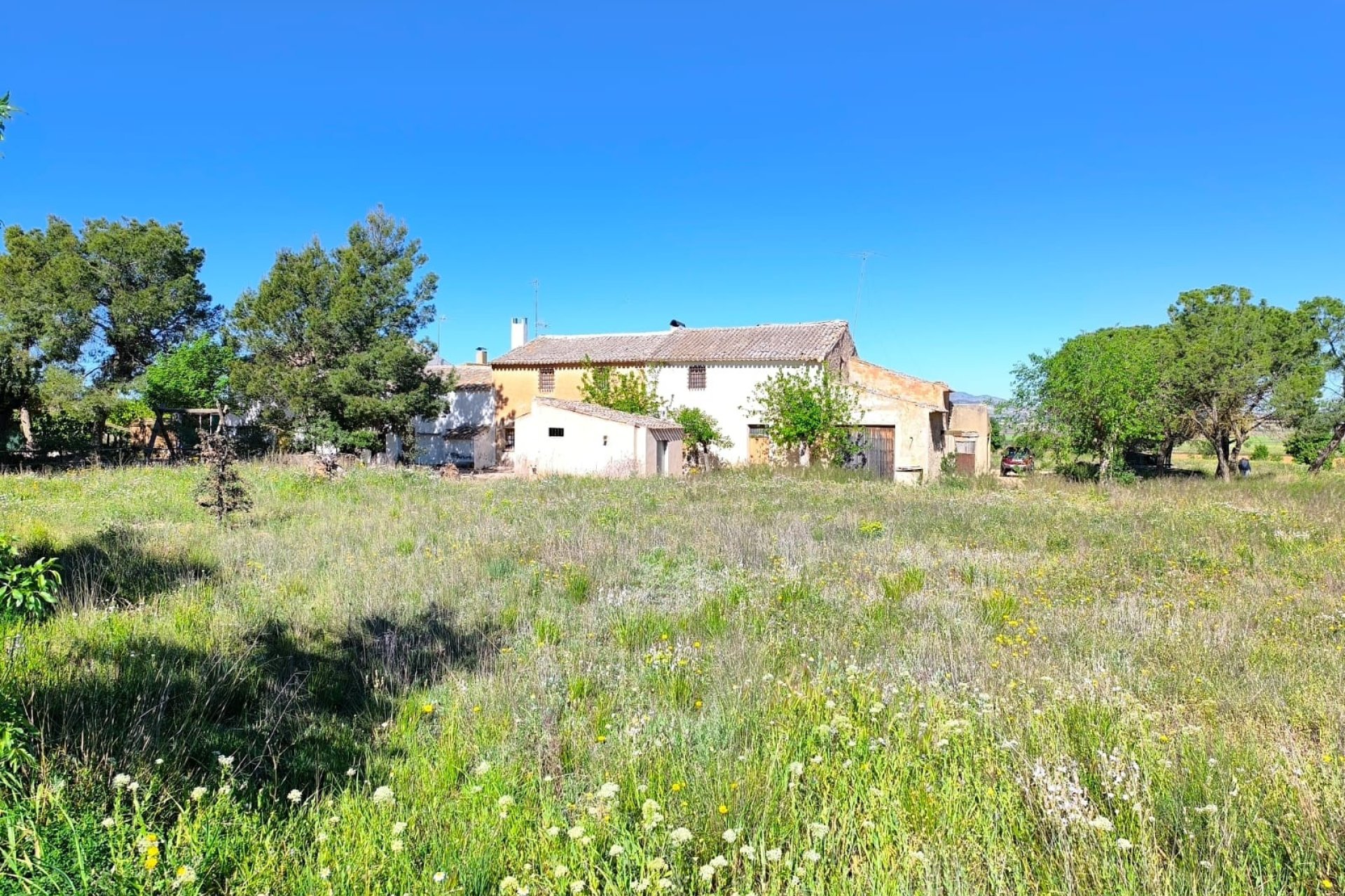 Herverkoop - Country House -
Yecla - Inland