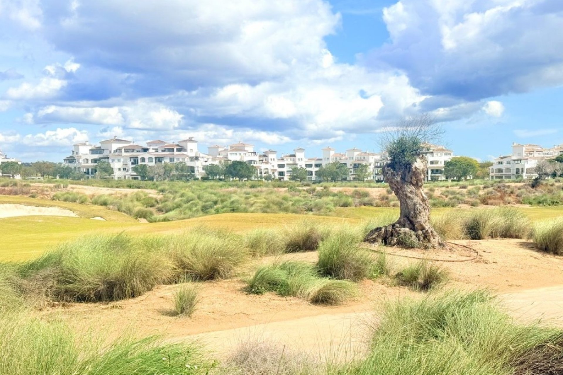 Herverkoop - duplex -
Hacienda Riquelme Golf Resort - Inland