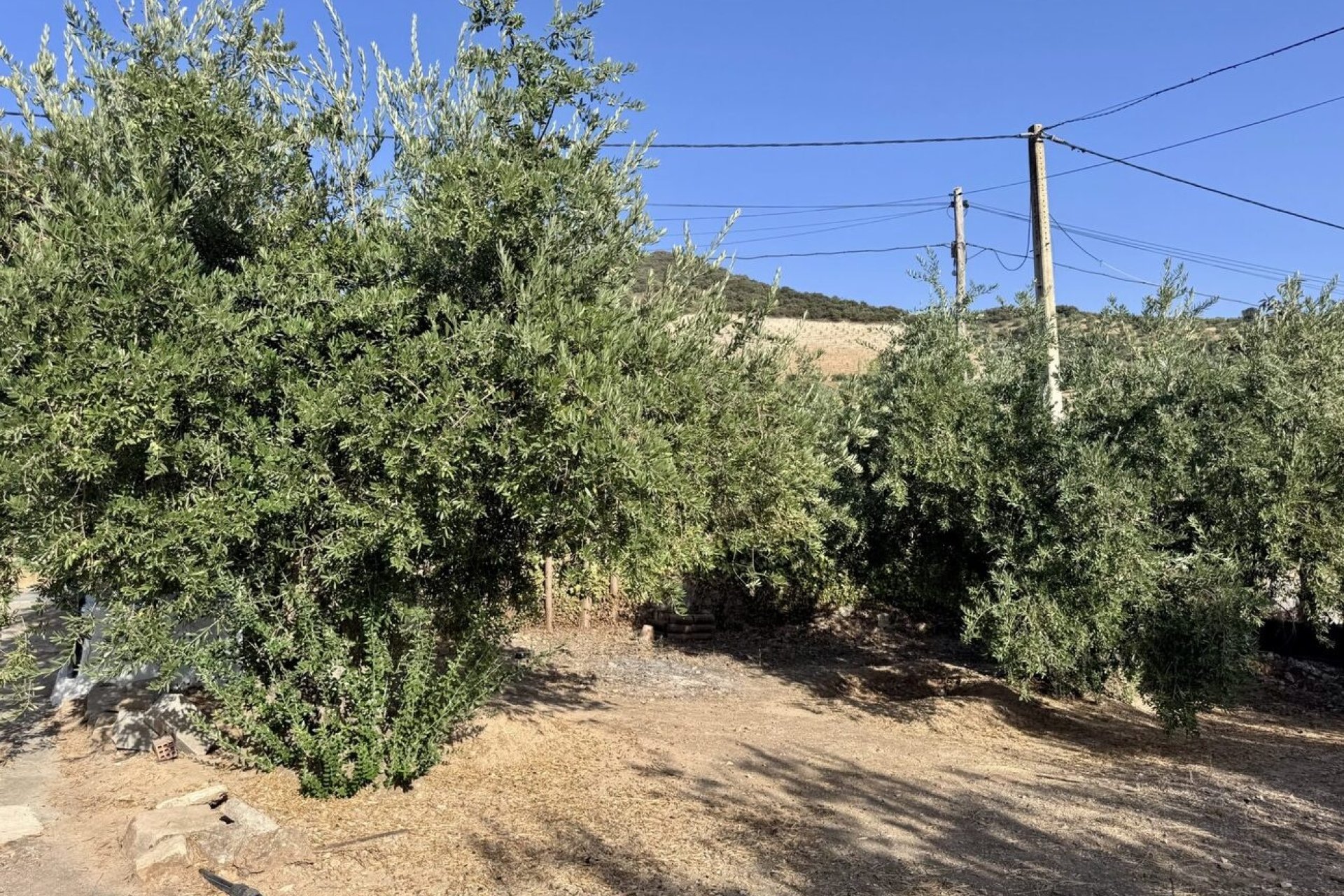 Herverkoop - Finca -
Algarinejo - Inland