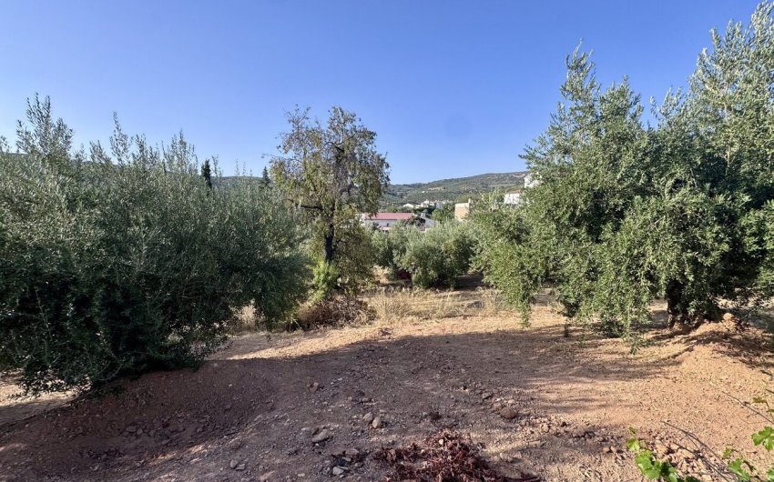 Herverkoop - Finca -
Algarinejo - Inland