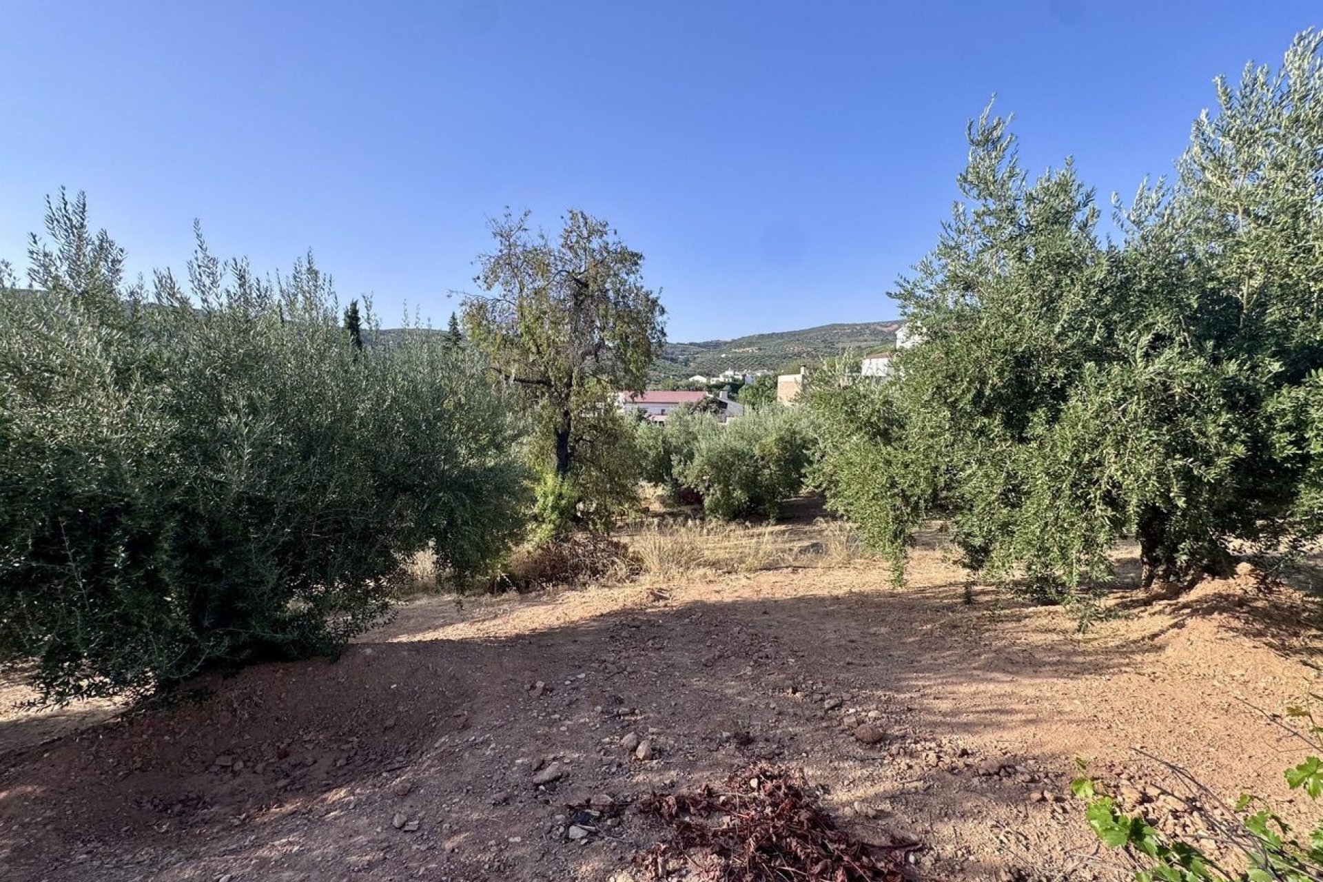 Herverkoop - Finca -
Algarinejo - Inland