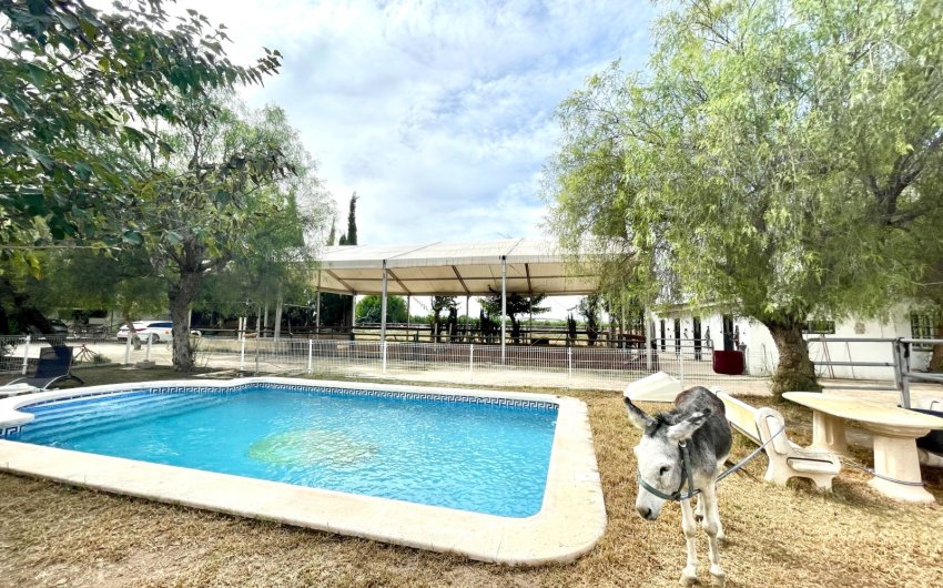 Herverkoop - Finca / Country Property -
Orihuela