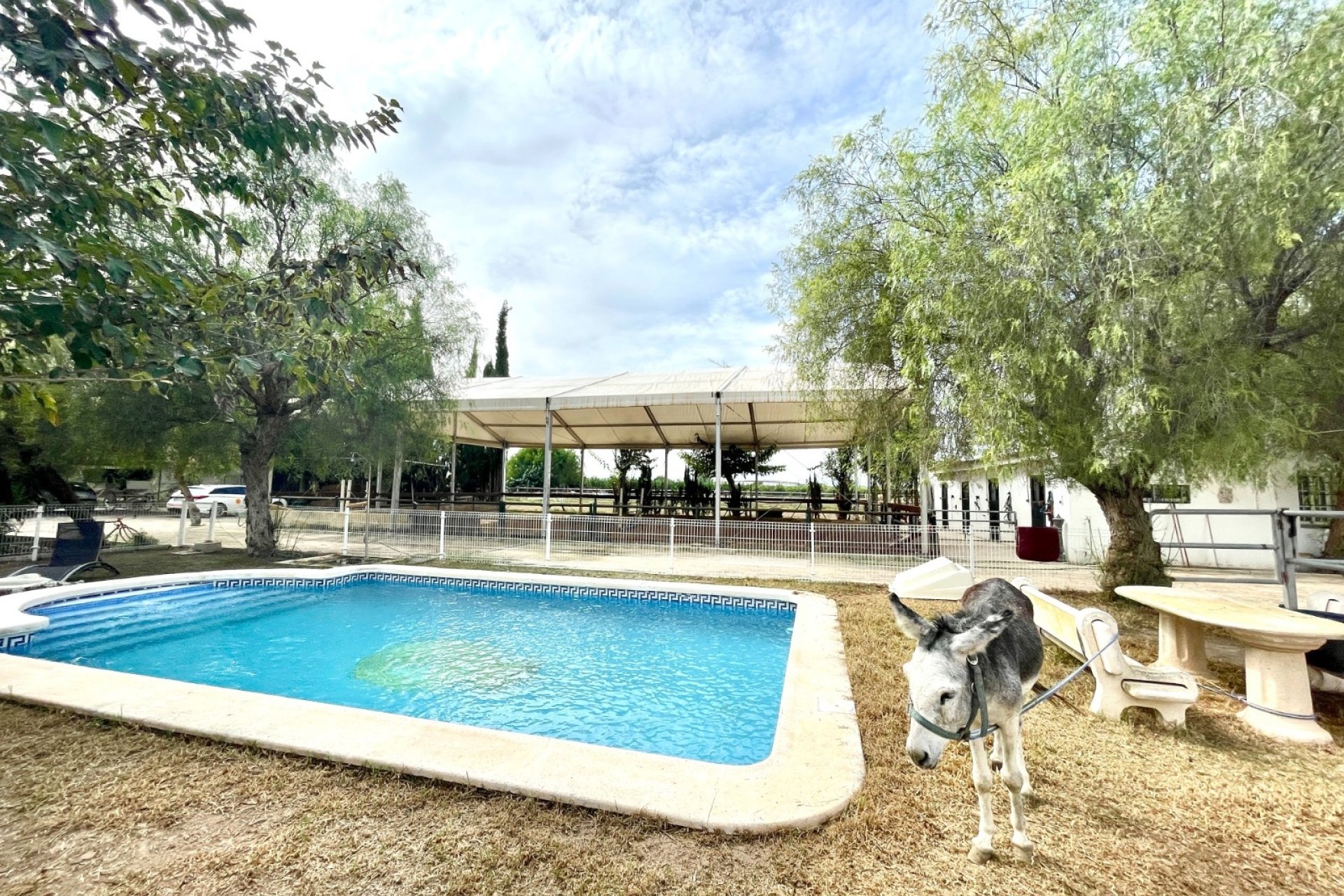 Herverkoop - Finca / Country Property -
Orihuela