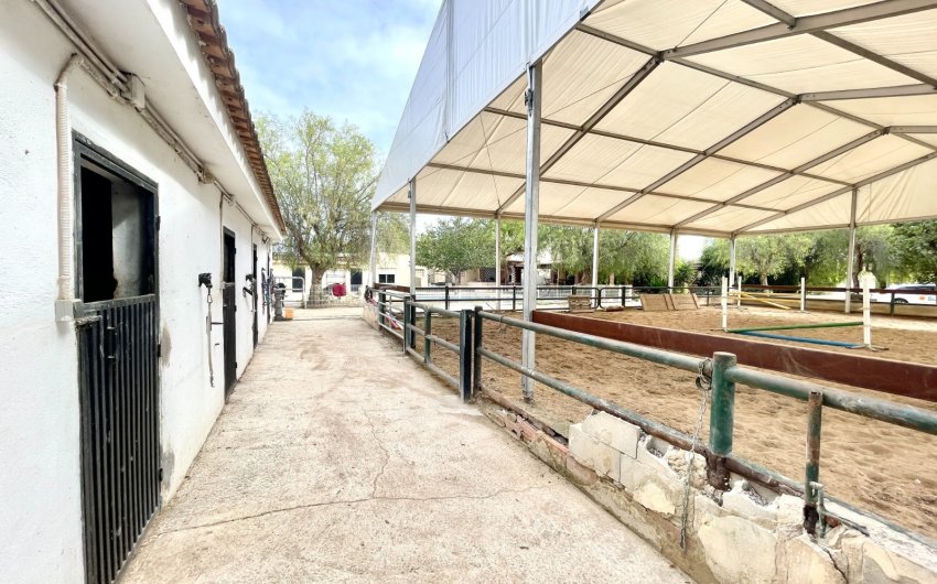 Herverkoop - Finca / Country Property -
Orihuela
