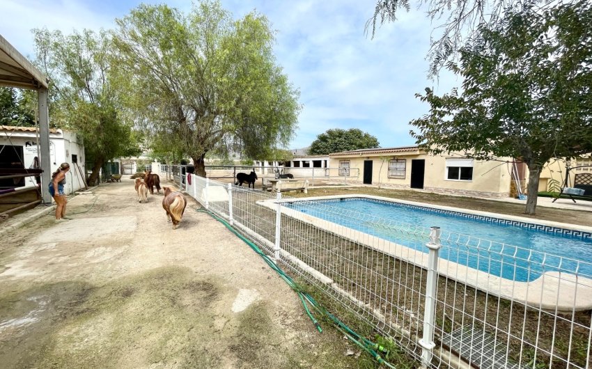 Herverkoop - Finca / Country Property -
Orihuela