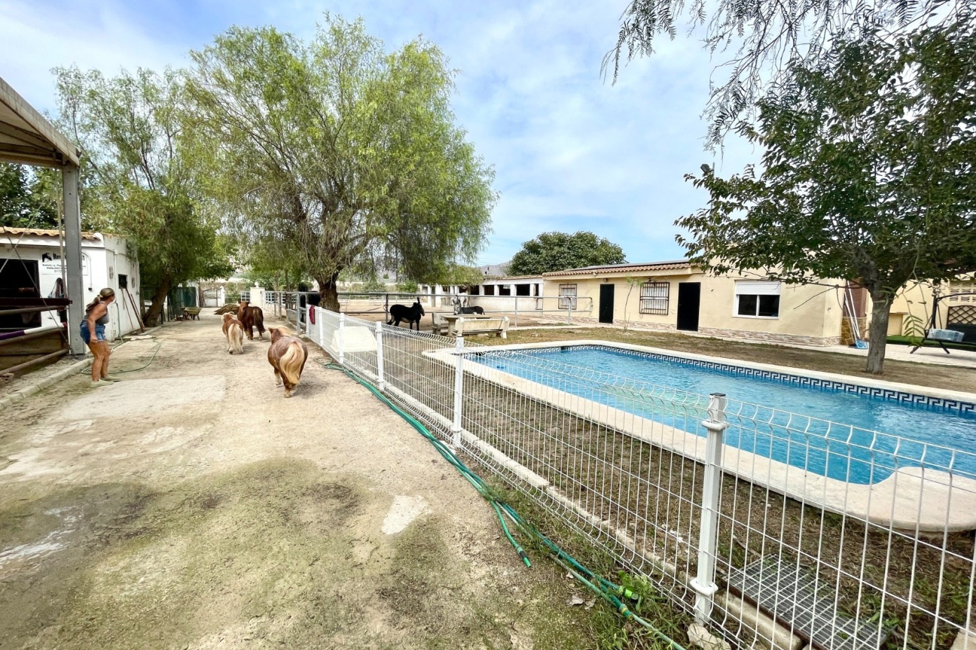 Herverkoop - Finca / Country Property -
Orihuela