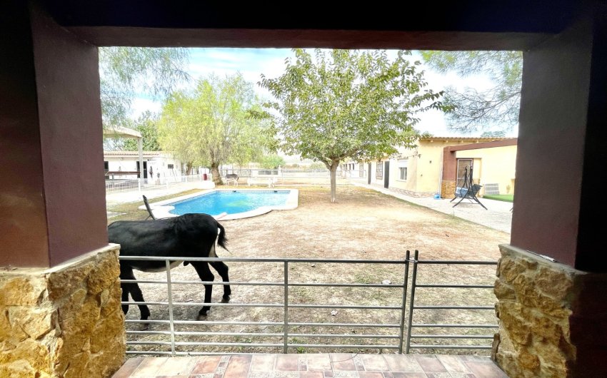 Herverkoop - Finca / Country Property -
Orihuela