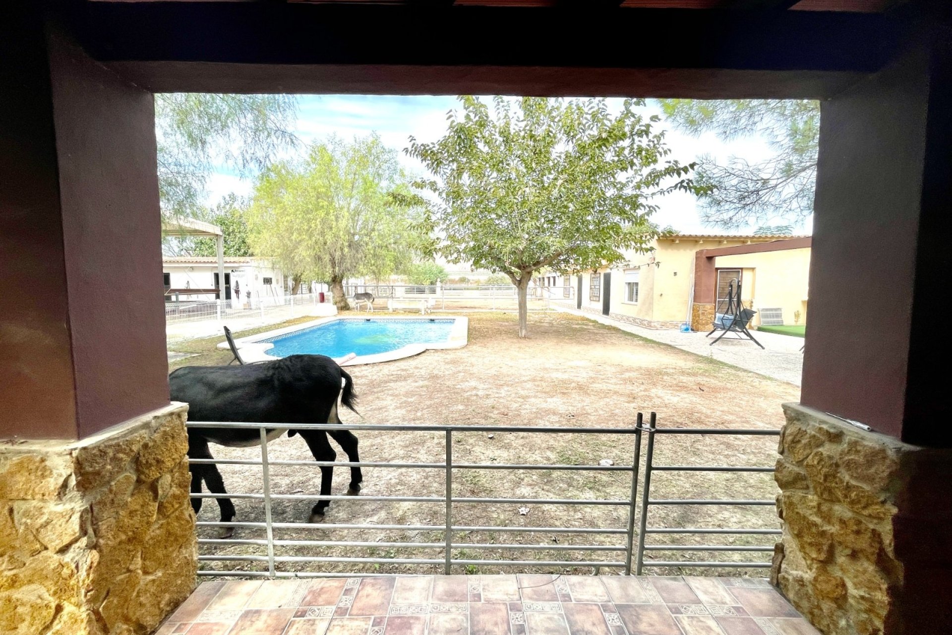Herverkoop - Finca / Country Property -
Orihuela