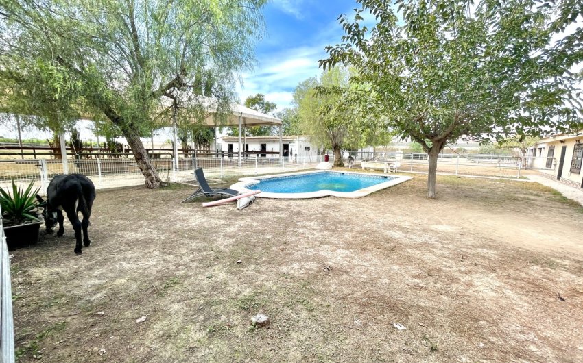 Herverkoop - Finca / Country Property -
Orihuela