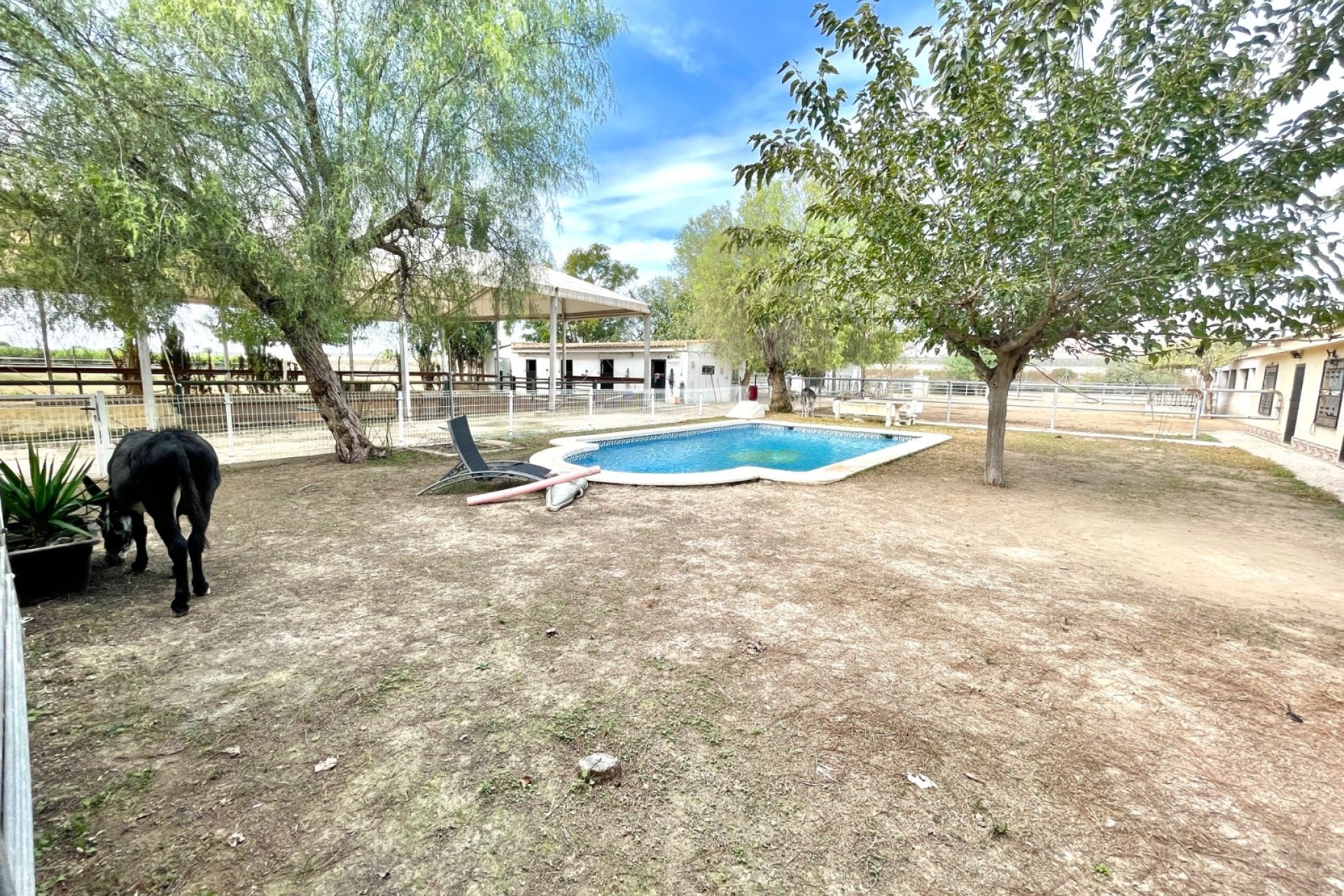 Herverkoop - Finca / Country Property -
Orihuela