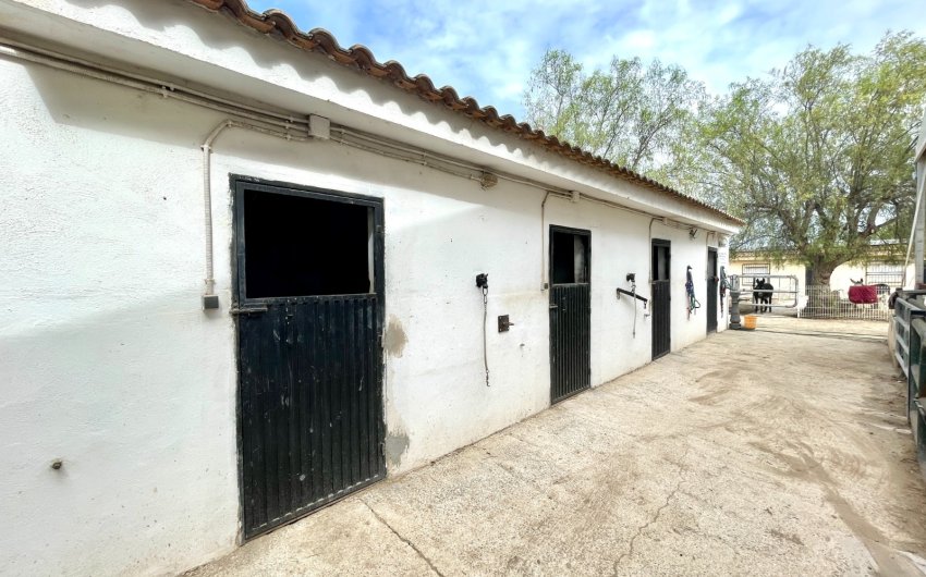 Herverkoop - Finca / Country Property -
Orihuela