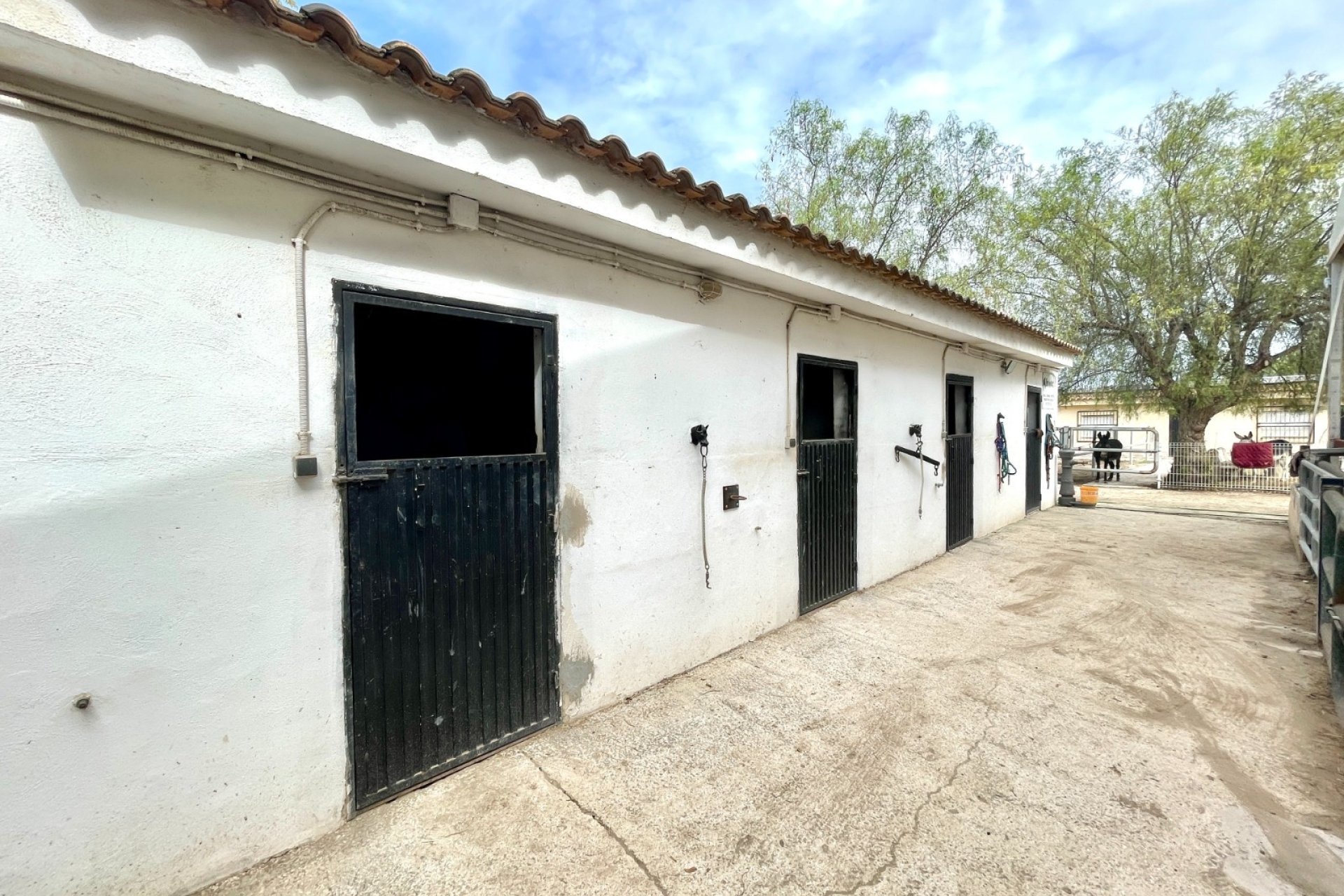 Herverkoop - Finca / Country Property -
Orihuela