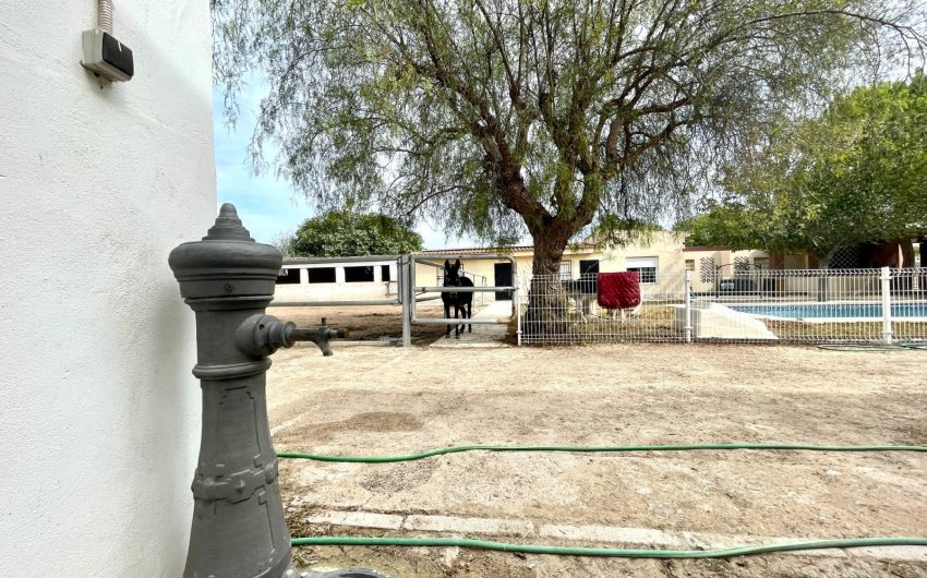 Herverkoop - Finca / Country Property -
Orihuela