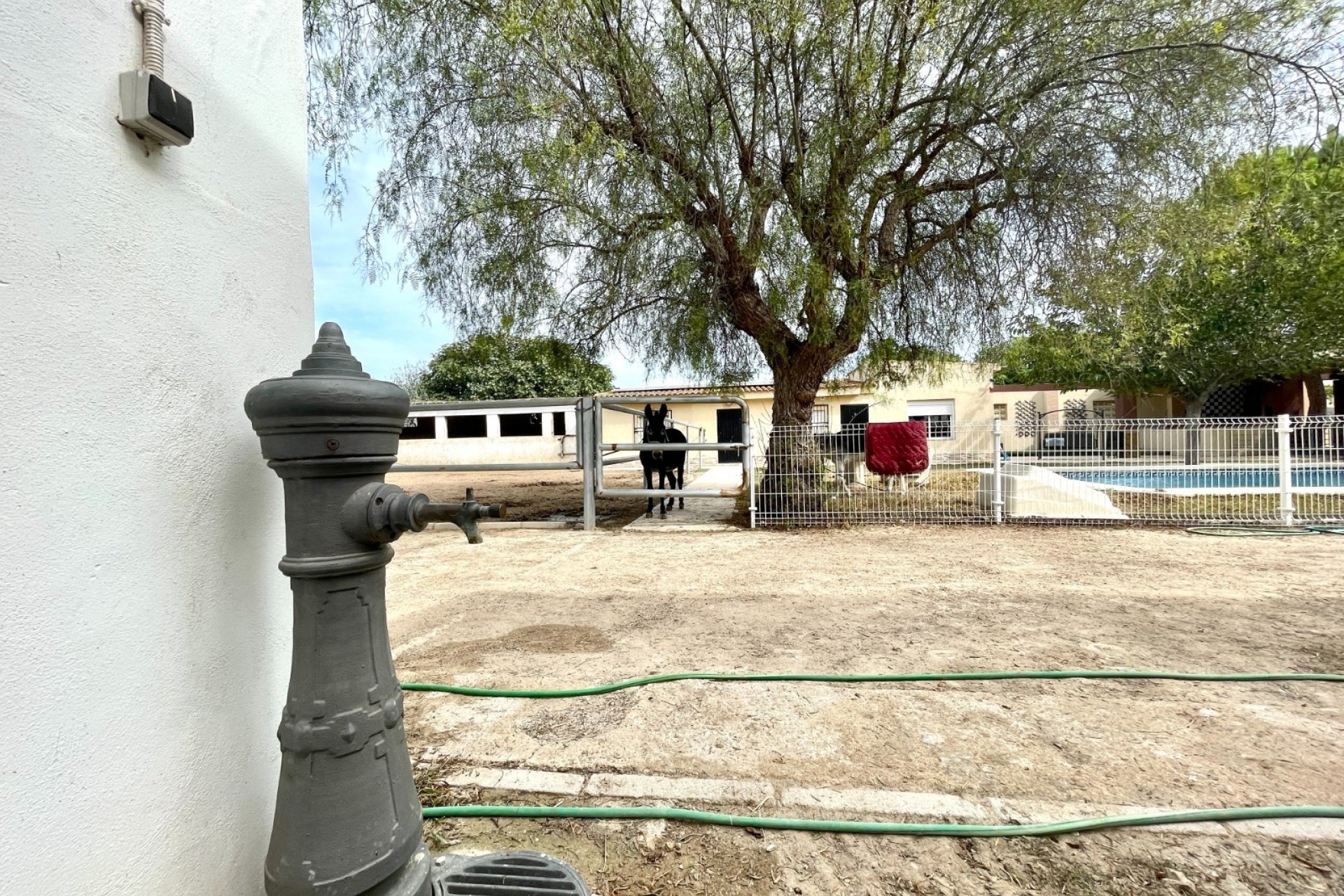 Herverkoop - Finca / Country Property -
Orihuela