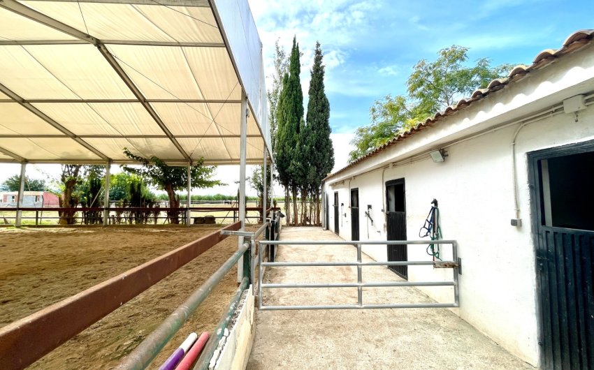 Herverkoop - Finca / Country Property -
Orihuela