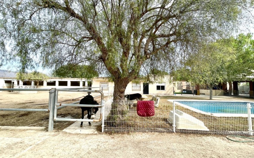 Herverkoop - Finca / Country Property -
Orihuela
