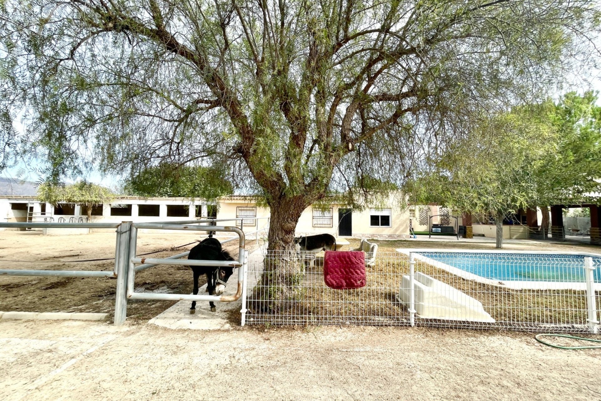 Herverkoop - Finca / Country Property -
Orihuela