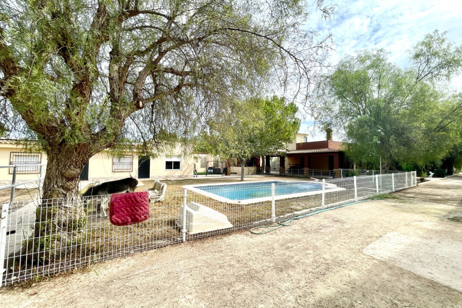 Herverkoop - Finca / Country Property -
Orihuela