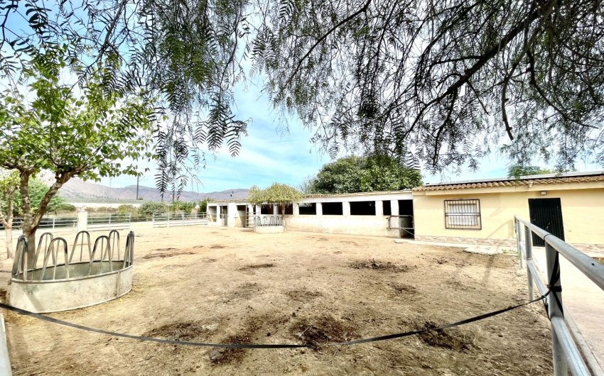 Herverkoop - Finca / Country Property -
Orihuela