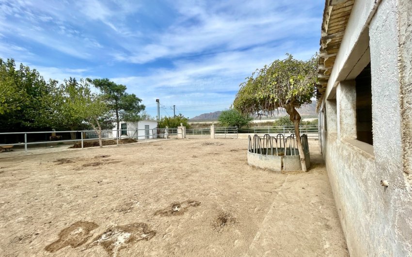 Herverkoop - Finca / Country Property -
Orihuela