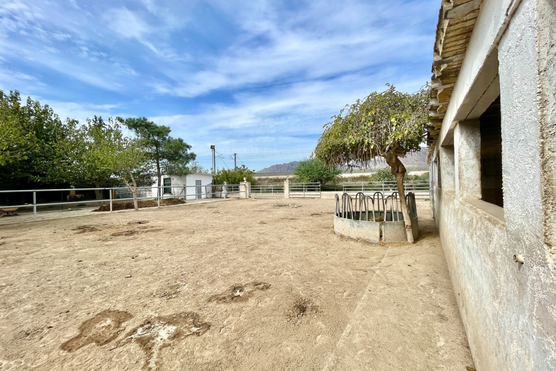 Herverkoop - Finca / Country Property -
Orihuela