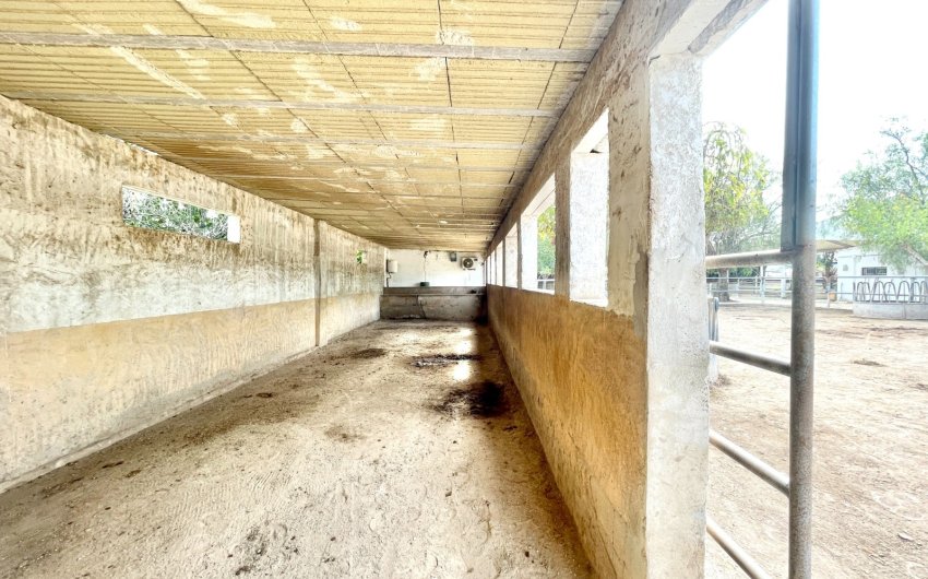 Herverkoop - Finca / Country Property -
Orihuela
