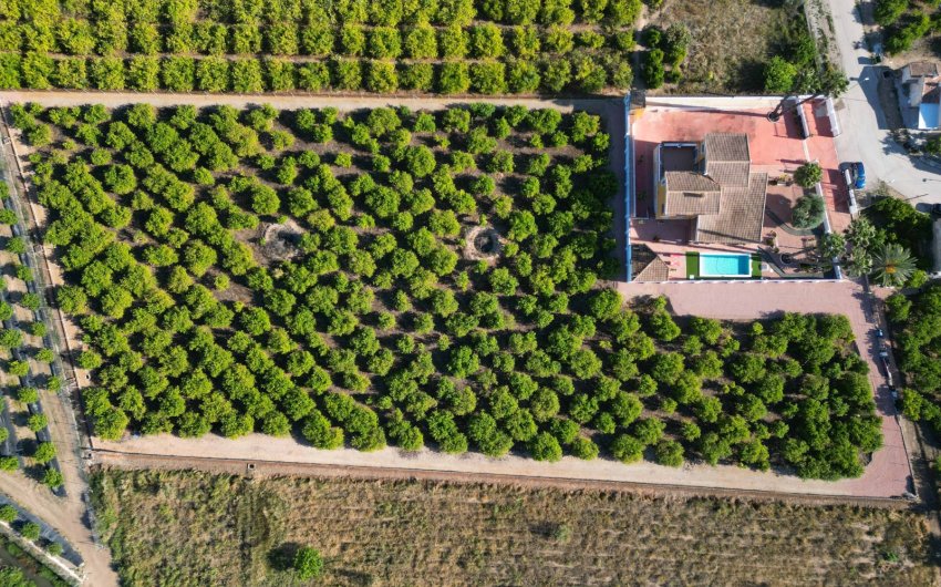 Herverkoop - Finca Country Property -
Orihuela