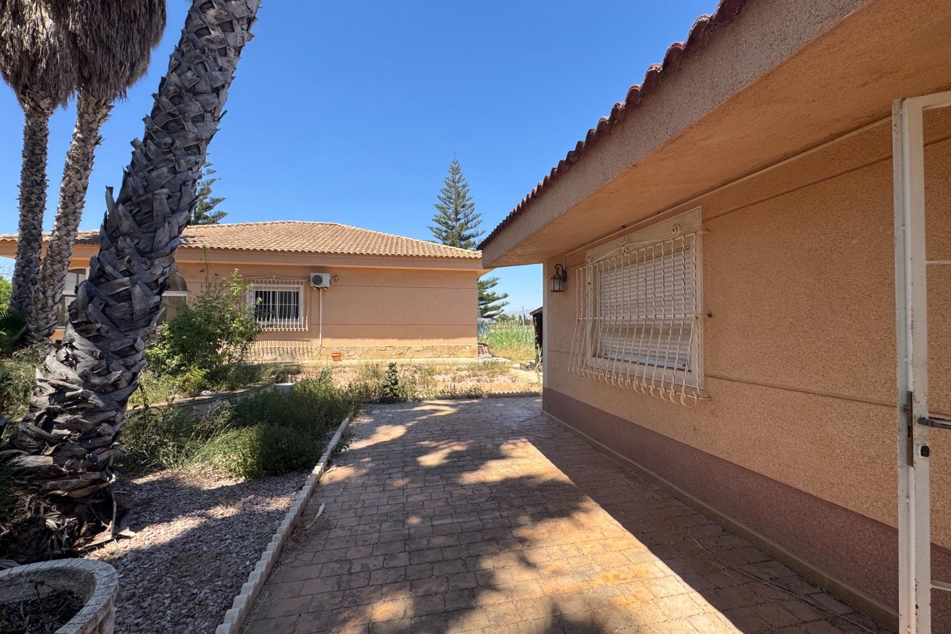 Herverkoop - Finca -
Dolores - Comunidad Valenciana