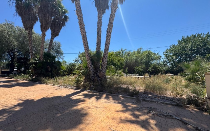 Herverkoop - Finca -
Dolores - Comunidad Valenciana