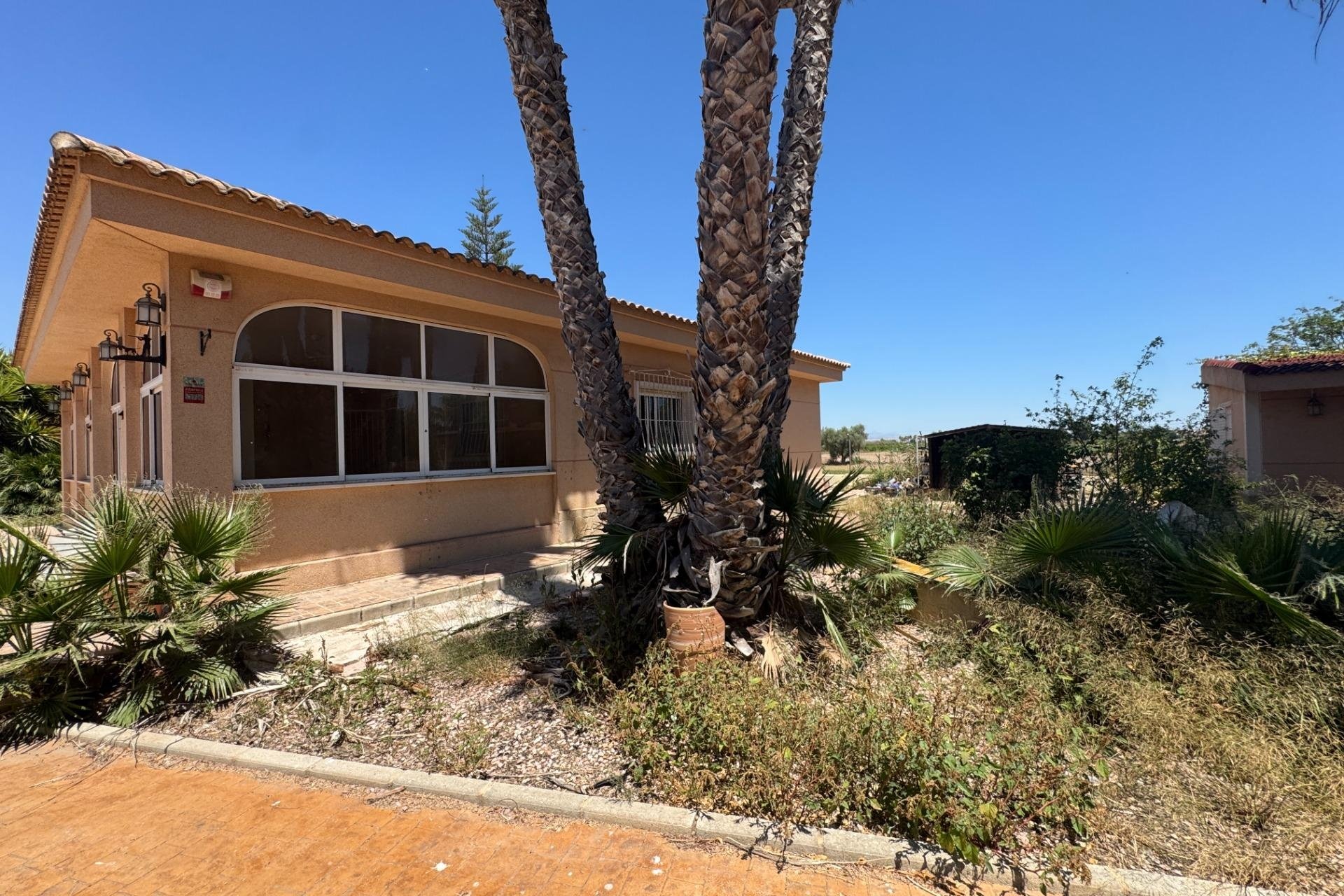Herverkoop - Finca -
Dolores - Comunidad Valenciana