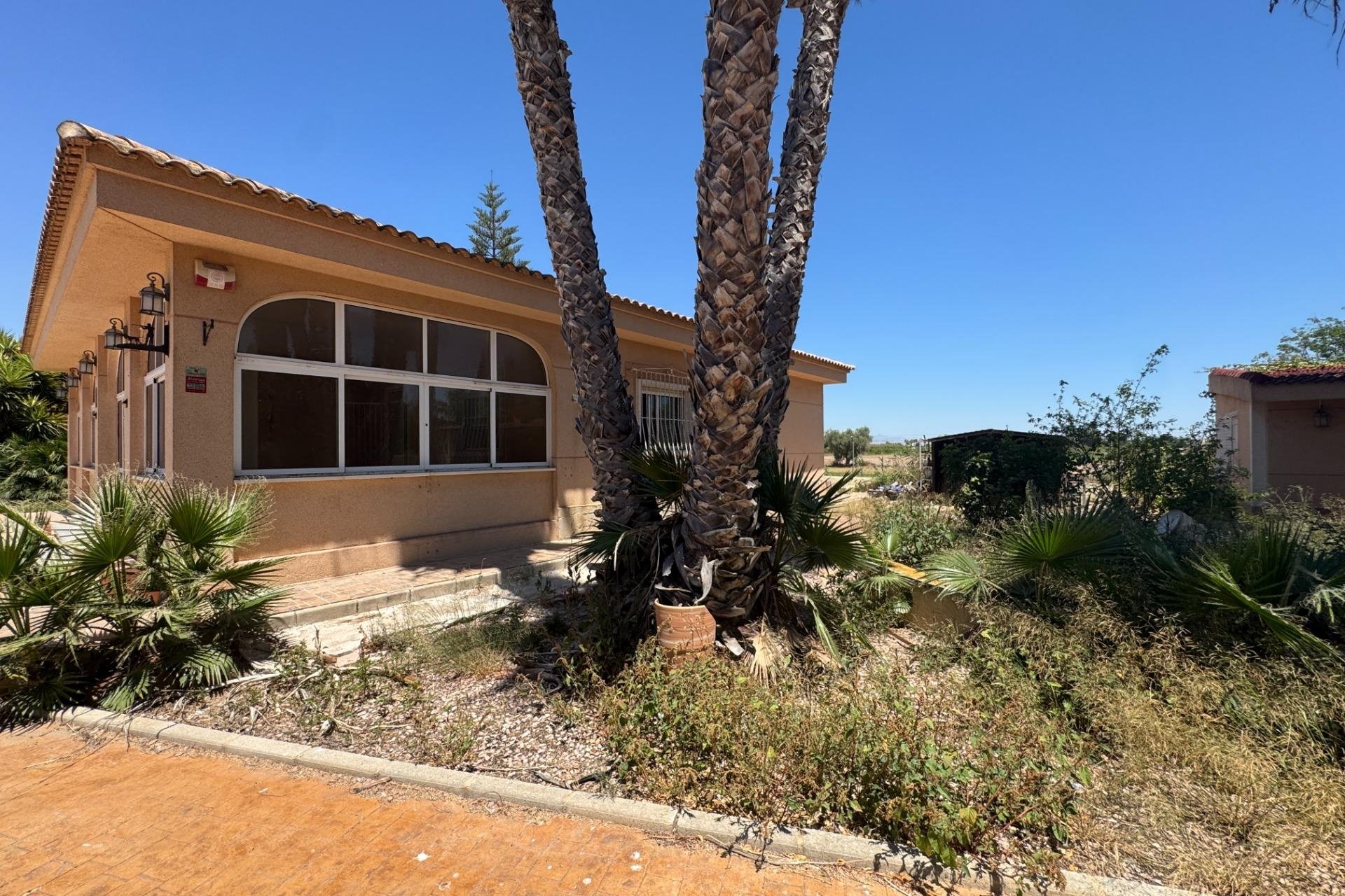 Herverkoop - Finca -
Dolores - Comunidad Valenciana