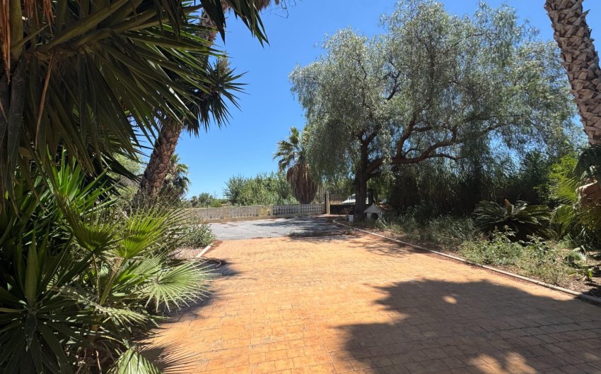 Herverkoop - Finca -
Dolores - Comunidad Valenciana